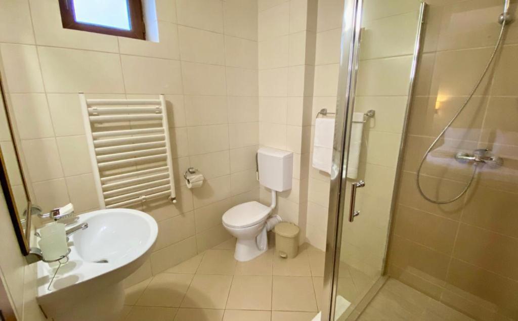 Hotel Termal Geoagiu Băi Zewnętrze zdjęcie