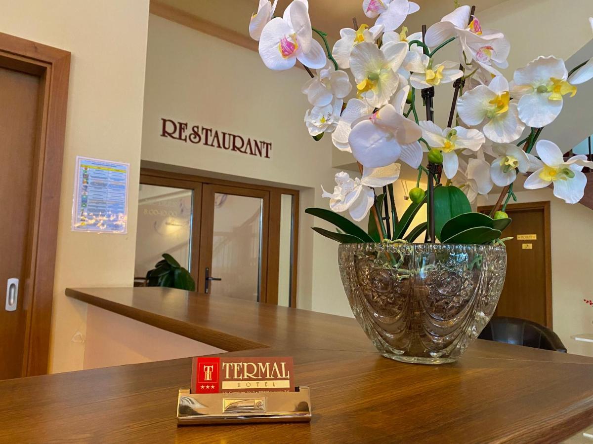 Hotel Termal Geoagiu Băi Zewnętrze zdjęcie